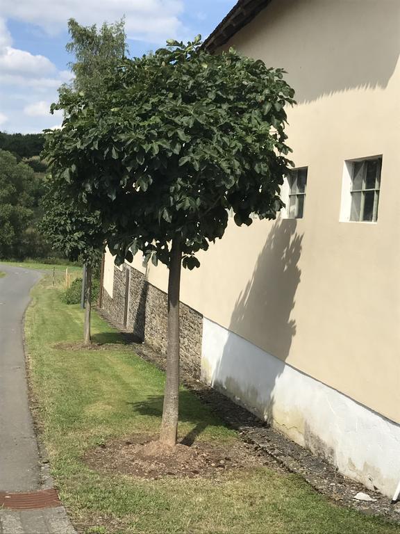 Ferienwohnung Schlössershof Borler Exterior foto